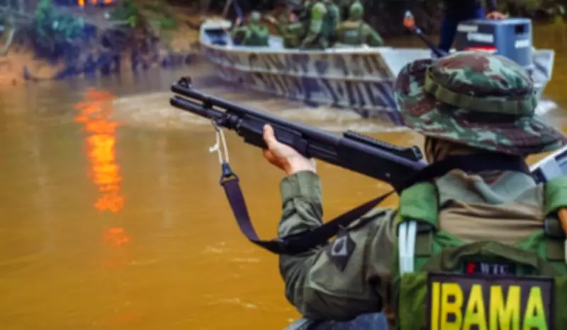 Ibama atacado em operação contra madeira ilegal no Amazonas; americano doa equipamentos