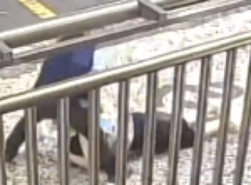 Idosa é brutalmente arrastada durante assalto em Copacabana; vídeo choca redes