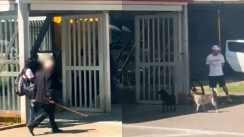 Idoso agride cachorro com paulada em estação da CPTM de Suzano; vídeo viraliza