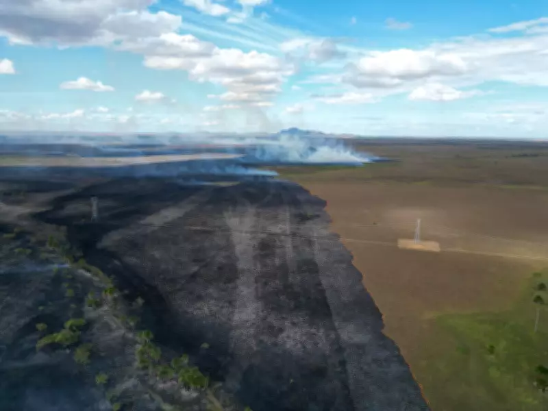 Incêndio de grandes proporções devasta 3 mil hectares no PA Nova Amazônia em Roraima