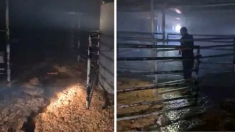 Incêndio em navio com gado em São Sebastião: vídeo revela destruição e bombeiros socorridos