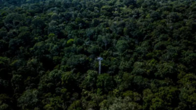 Inscrições abertas para Workshop ARISE sobre Amazônia Resiliente em Santarém