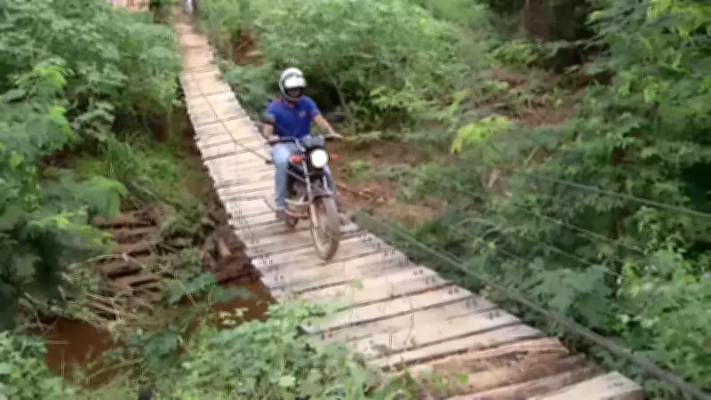 Inter TV Rural exibe reportagens sobre agropecuária e sustentabilidade em MG