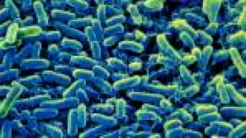 Intoxicação Alimentar: Entenda o que Acontece no Corpo e os Sinais do Problema