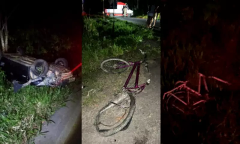 Irmãos de 13 e 5 anos morrem atropelados por motorista embriagado na BA-120, Bahia