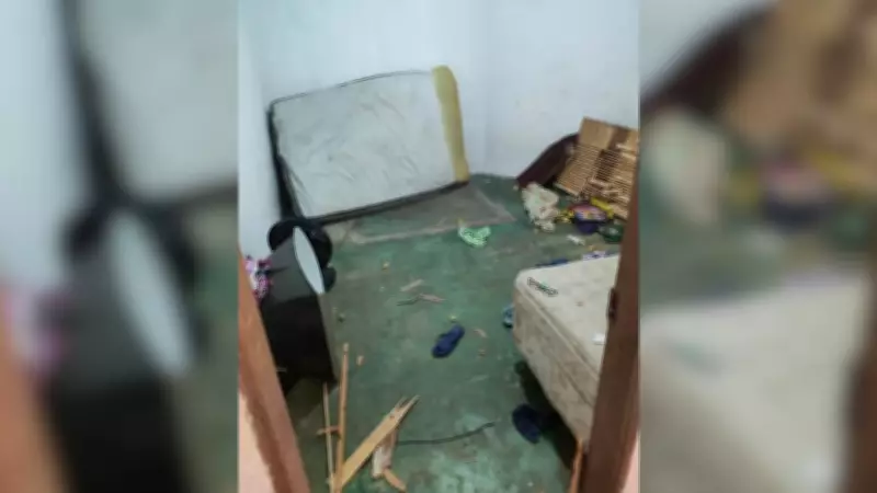 Irmãos são resgatados com marcas de agressão e levados a abrigo em Birigui (SP)