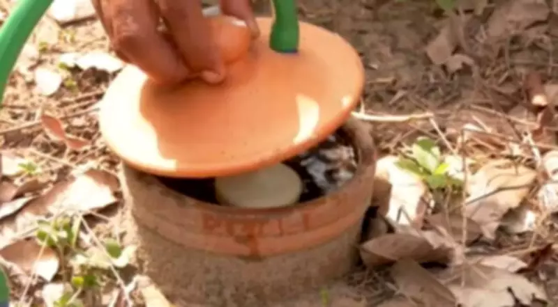 Irrigapote: Potes de Barro Revolucionam Agricultura Familiar no Pará Contra a Seca