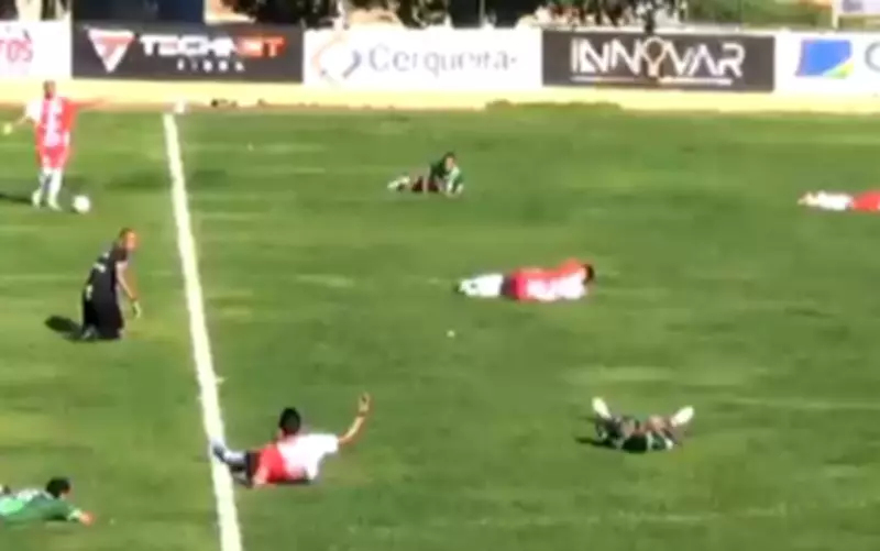 Jogadores se deitam no gramado após invasão de libélulas em partida de futebol na Bahia