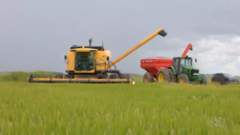 Jornal do Campo TO destaca avanços no agronegócio e sustentabilidade no Tocantins
