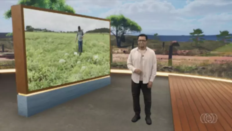 Jornal do Campo TO exibe reportagens sobre agricultura e pecuária neste domingo