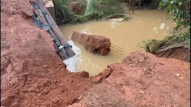 Jornal do Campo TO exibe reportagens sobre agricultura e pecuária no Tocantins