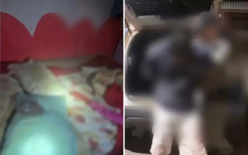 Jovem de 27 anos é preso por feminicídio após mentir sobre invasão em Águas Lindas de Goiás