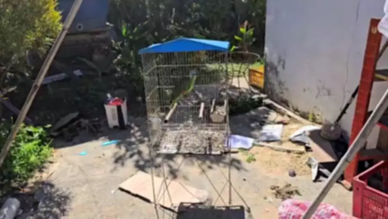 Jovem é preso por maus-tratos a animais silvestres e posse ilegal em Sarapuí