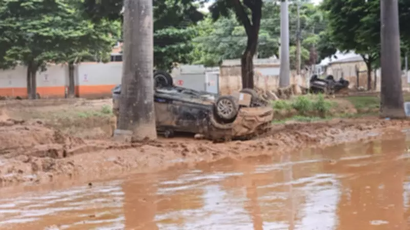 Juiz de Fora e Ubá iniciam força-tarefa de limpeza após chuvas que deixaram 72 mortos