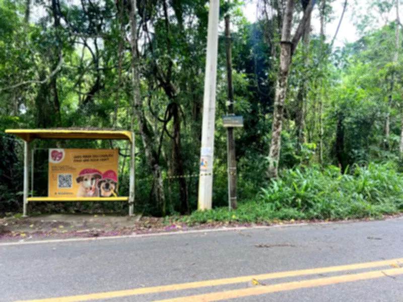 Julgamento por tentativa de feminicídio em Guararema é suspenso e será retomado nesta quarta