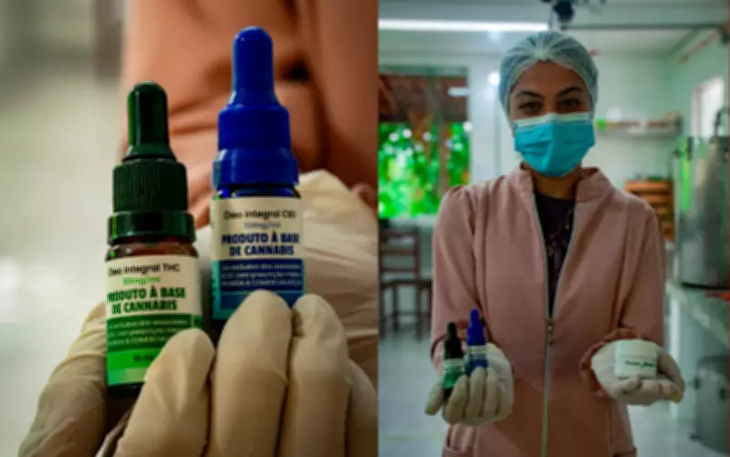 Justiça da Bahia concede habeas corpus preventivo para associação de cannabis medicinal