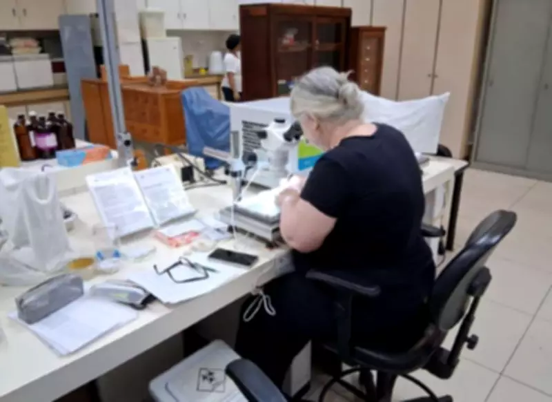 Justiça de SP suspende venda de prédio com laboratórios de pesquisa em saúde na Luz