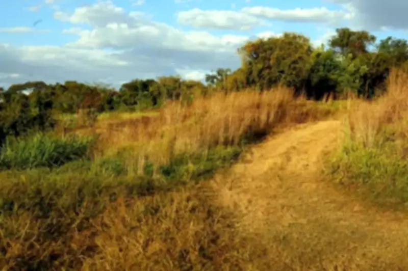 Justiça Federal de Rondônia determina desocupação de fazenda avaliada em R$ 22 milhões