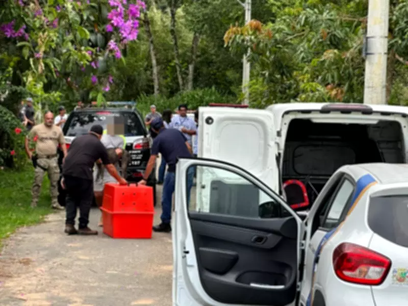 Justiça torna réu tutor de pitbulls que atacaram e mataram idosa em São José dos Campos