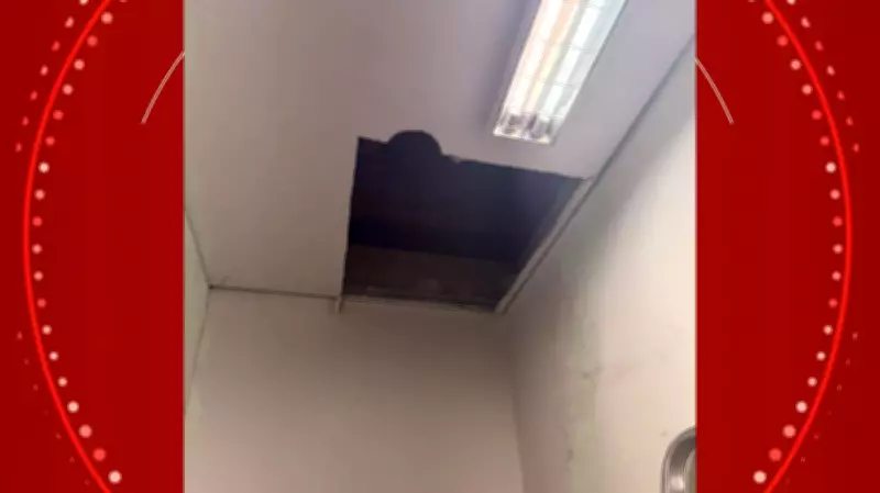 Ladrão invade joalheria de shopping pelo forro e causa prejuízo de R$ 37 mil em Ponta Grossa