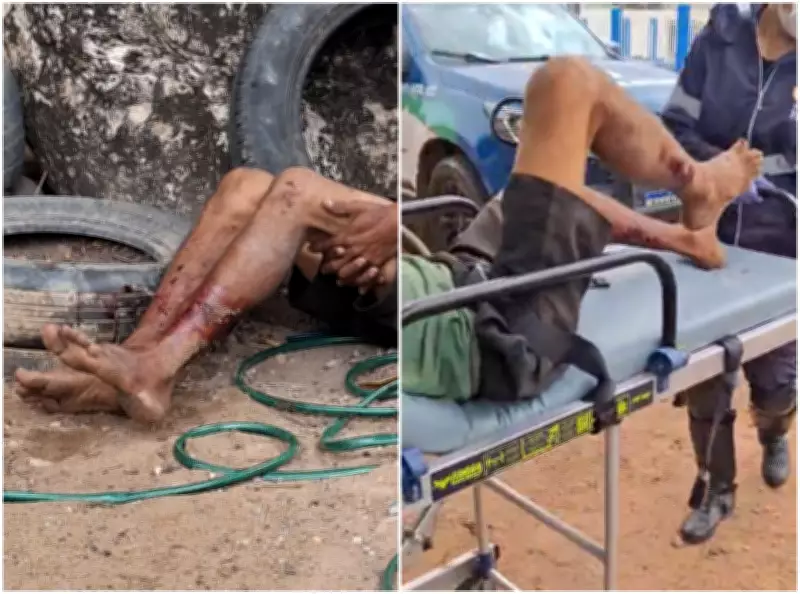 Ladrão é mordido por cão ao pular muro após tentativa de furto de bicicleta em Boa Vista