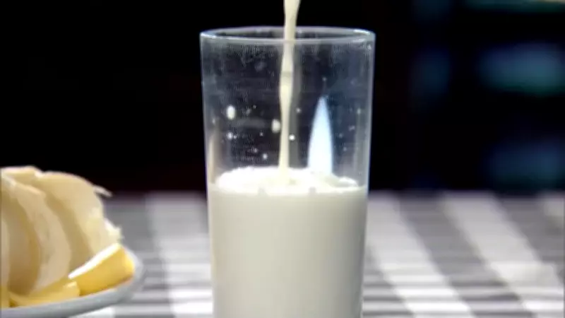 Leite de búfala ganha destaque no agronegócio por qualidade nutricional e rendimento