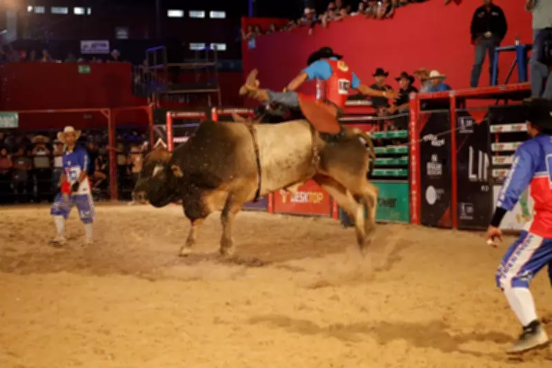 Limeira Rodeo: A Preparação Intensa dos Peões e os Prêmios das Competições