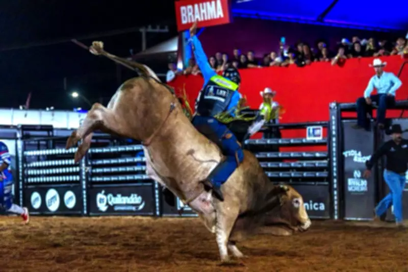 Limeira Rodeo Music 2026 atrai 31 mil pessoas em Cordeirópolis com shows e montaria