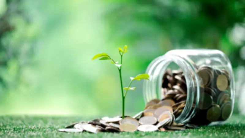 Lua em Peixes favorece três signos com oportunidades financeiras na semana