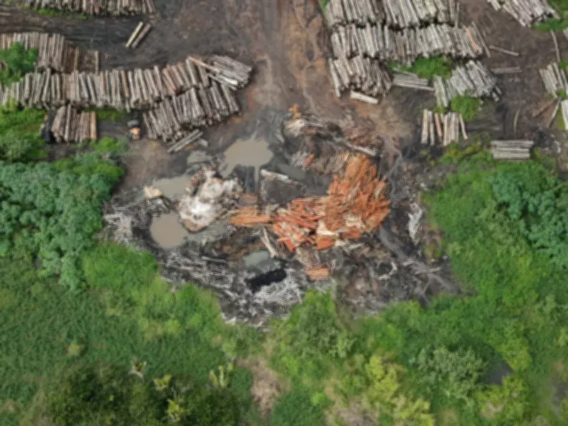 Madeireiro é preso em flagrante por tentativa de suborno a agente do Ibama no Pará