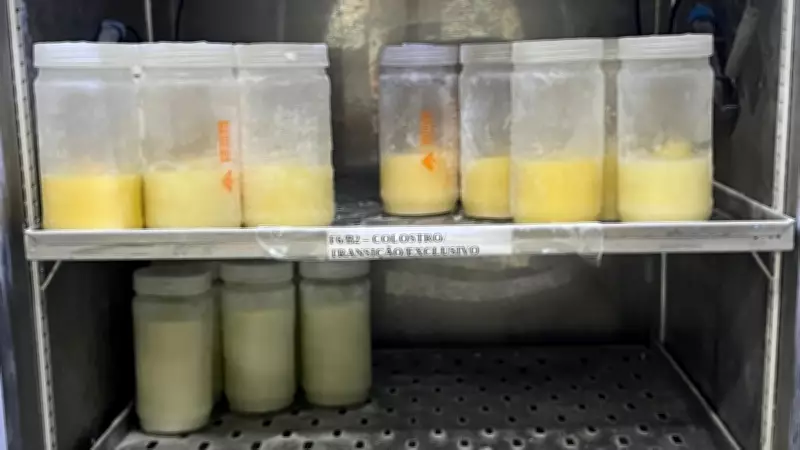 Maternidade do Piauí intensifica campanha por doações de leite materno para bebês prematuros