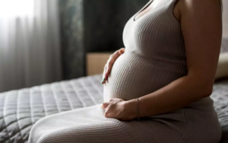 Maternidade no Trabalho: Mais de 380 mil mulheres demitidas após licença-maternidade