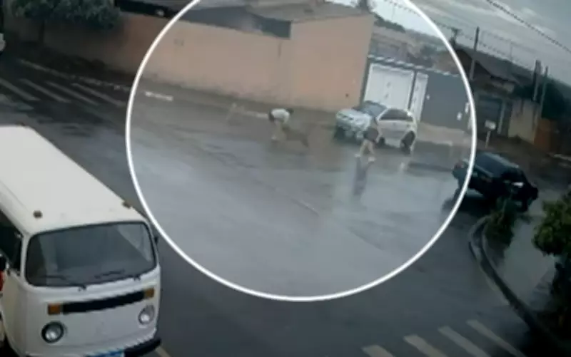 Mãe e filha sofrem ferimentos graves após ataque de pitbull solto em Viradouro, SP