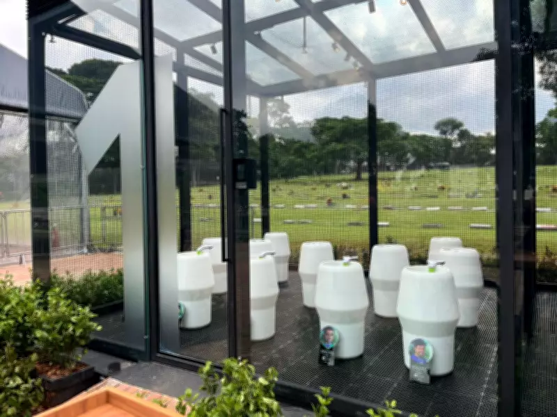 Memorial vivo homenageia Mamonas Assassinas com árvores e cinzas em Guarulhos