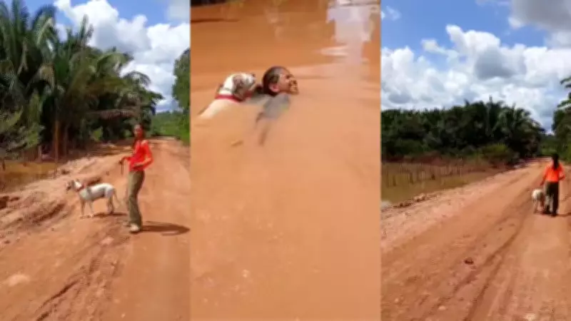 Menina de 11 anos mostra trecho alagado após atravessar 200 metros com cadela em Uruçuí