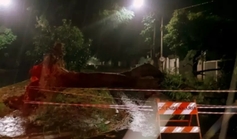 Microexplosão causa estragos em Araraquara com ventos de 90 km/h e queda de árvores