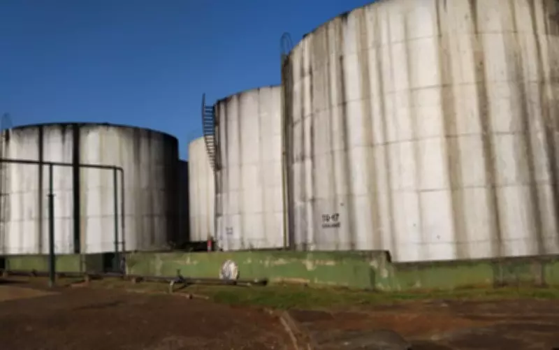 Ministério da Agricultura apreende 7,28 milhões de litros de cachaça sem registro em São Paulo