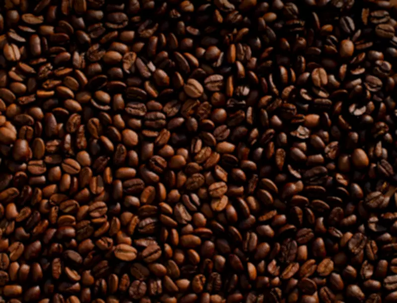 Mito do café ruim no Brasil é desmentido: qualidade interna evoluiu desde os anos 80