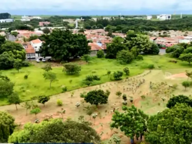 Morador de São Carlos cuida sozinho de área verde pública há 13 anos com investimento mensal