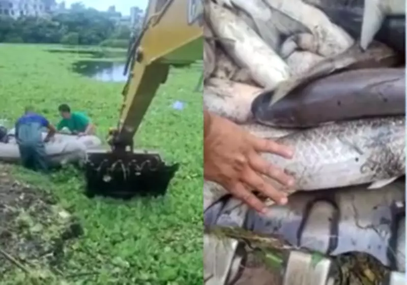 Mortandade de tainhas em lago artificial de Jurerê Internacional preocupa pescadores