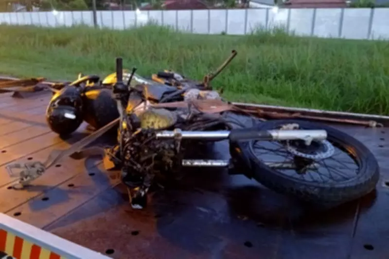 Motociclista de 25 anos morre após colidir com cavalo solto em rodovia de Peruíbe, SP