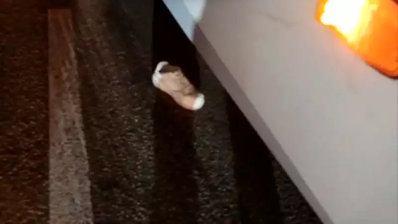 Motociclista fica presa sob ônibus após colisão em avenida de Fortaleza