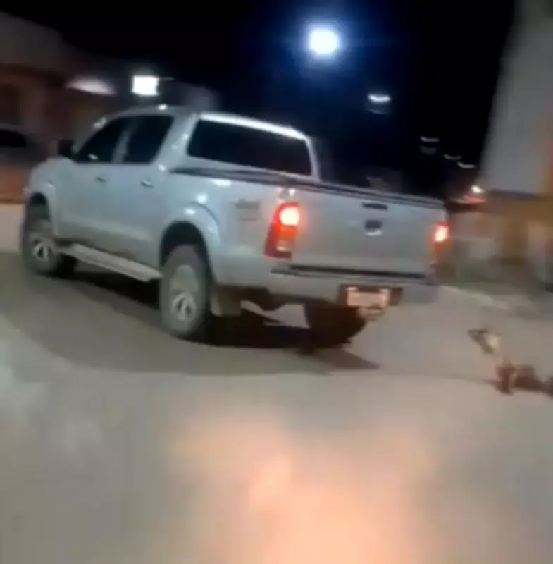 Motorista arrasta cachorro amarrado a caminhonete em via pública de Redenção, no Pará