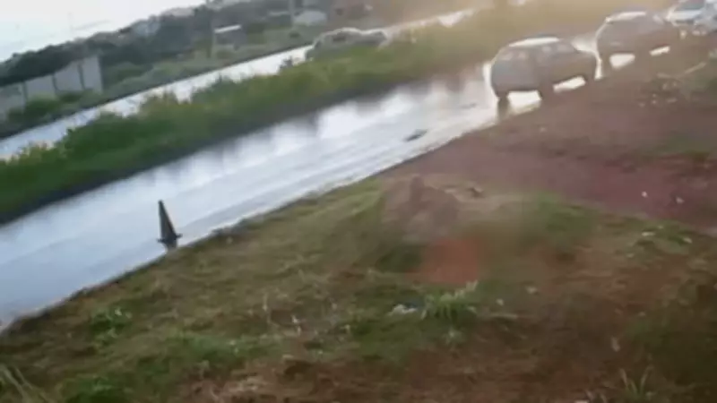 Motorista perde controle e capota carro em alta velocidade no Contorno Leste de Cuiabá