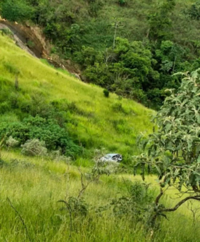 Motorista sobrevive após carro despencar de ribanceira de 100 metros em Juiz de Fora