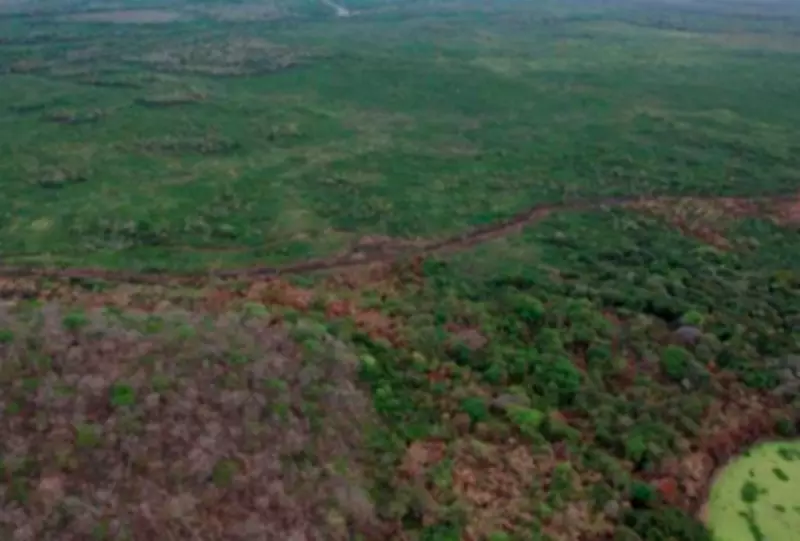 MP investiga incêndio criminoso que devastou 20 hectares de vegetação nativa no Pantanal de MS
