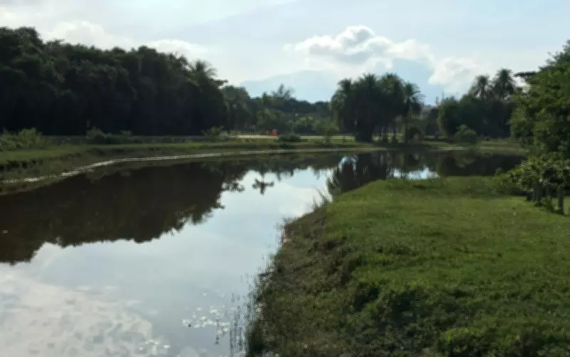 MP-RJ pede suspensão de condomínio que ameaça cortar 900 árvores na Barra da Tijuca