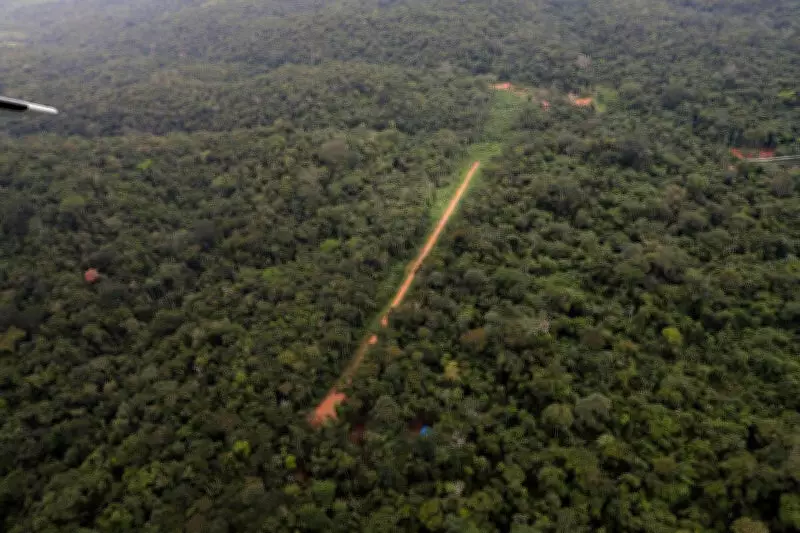 MPF alerta: mais de mil pistas clandestinas de garimpo na Amazônia e fiscalização insuficiente