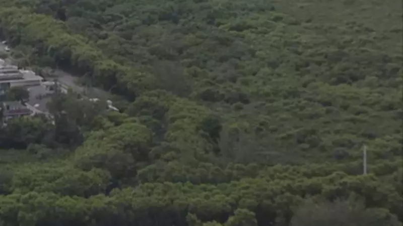 MPRJ recomenda veto a licenças para condomínio que ameaça Mata Atlântica na Barra da Tijuca