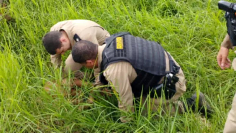 Mulher é assassinada a facadas e suspeito é capturado em canavial no interior de Minas Gerais